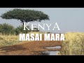 KENYA 2017 - Masai Mara National Park