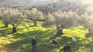 Villa De Gata Patrimonio De Lo Natural