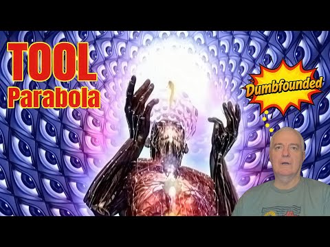 I Was Not Ready for This | Tool – Parabola Reaction