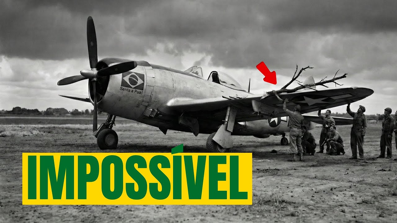 "Ninguém Acreditou no que Viu" — O Piloto da FEB Trouxe uma Prova na Asa que Apavorou os Americanos