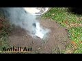 Casting a Field Ant Colony with Molten Aluminum (Cast #071)