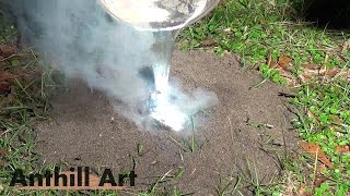 Casting a Field Ant Colony with Molten Aluminum  (Cast #071)