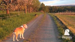 Naturpark Bayerischer Spessart