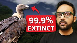 Why India's Most Important Animal is 99% EXTINCT