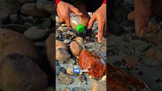 ​Proof that you should NEVER judge a rock by its cover... 🤯🌊