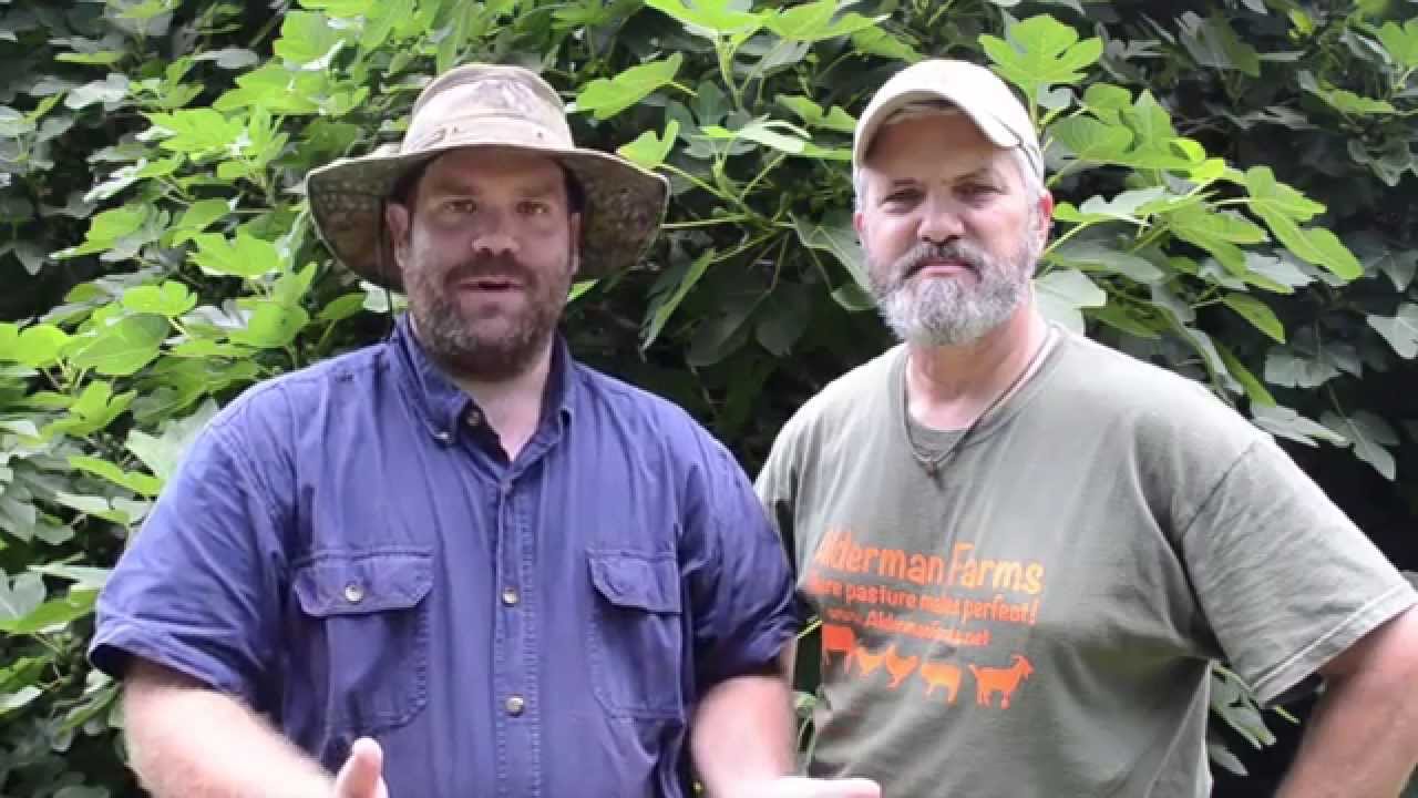 J&J Acres visits Alderman Farms YouTube