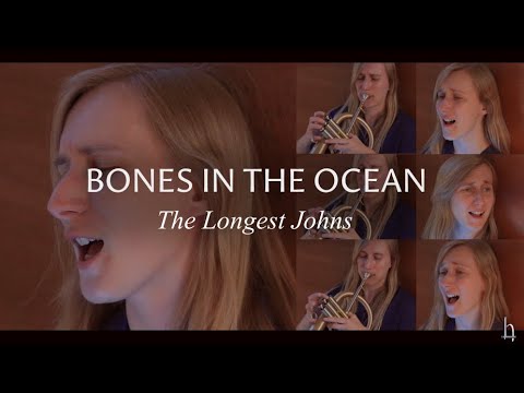Bones in the