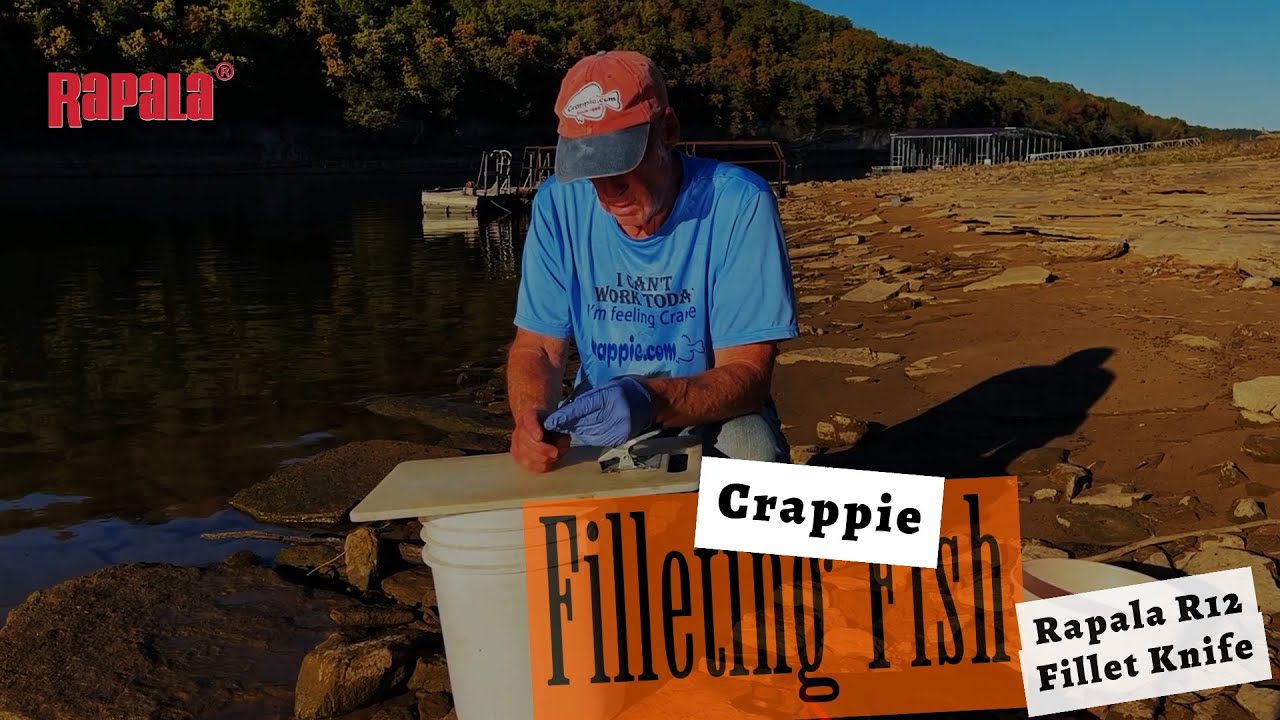 Filleting a crappie with more power and increased torque featuring Rapala  R12 Lithium Fillet Knife 