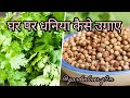 How to grow coriander (धनिया को घर पर कैसे उगाए आसान तरीके से वो भी कम स्पेस मै ।#grow vegetable 