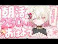〖朝活 / 雑談〗おはよう250人耐久!☀ 初見さん大歓迎!〖 #百地波瑠 / ゆにふぃ!〗