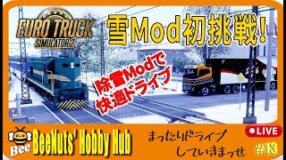 【ETS2】初導入の雪Modが絶景すぎた！でも滑りすぎて事故連発…？除雪Modで快適配送を目指す【Euro Truck Simulator 2 ライブ】 screenshot 5