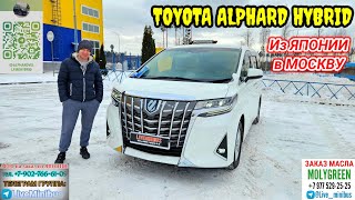 видео: TOYOTA ALPHARD HYBRID (8 мест). Смотрим что купили и привезли. картинка: TOYOTA ALPHARD HYBRID (8 мест). Смотрим что купили и привезли.