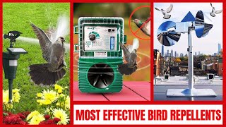 Best Bird Deterrent Devices - Quick & Humane Ways to Keep Birds Away