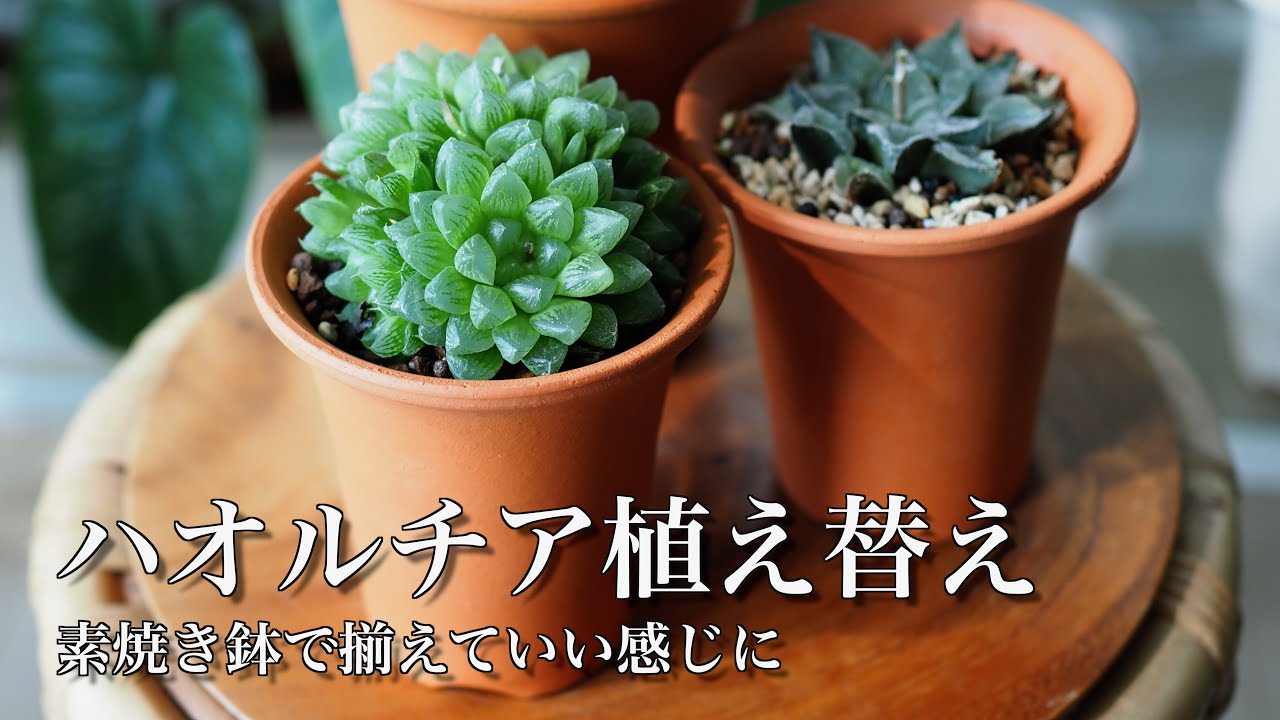 maxresdefault.jpg