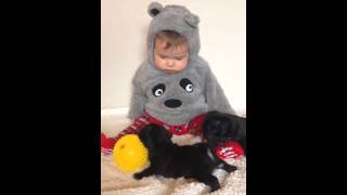 Puppy's Playing With Baby Louie