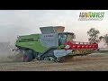 Claas Lexion 780 TT (2016 Version) wheat harvest - FIRST IN ITALY - 4K