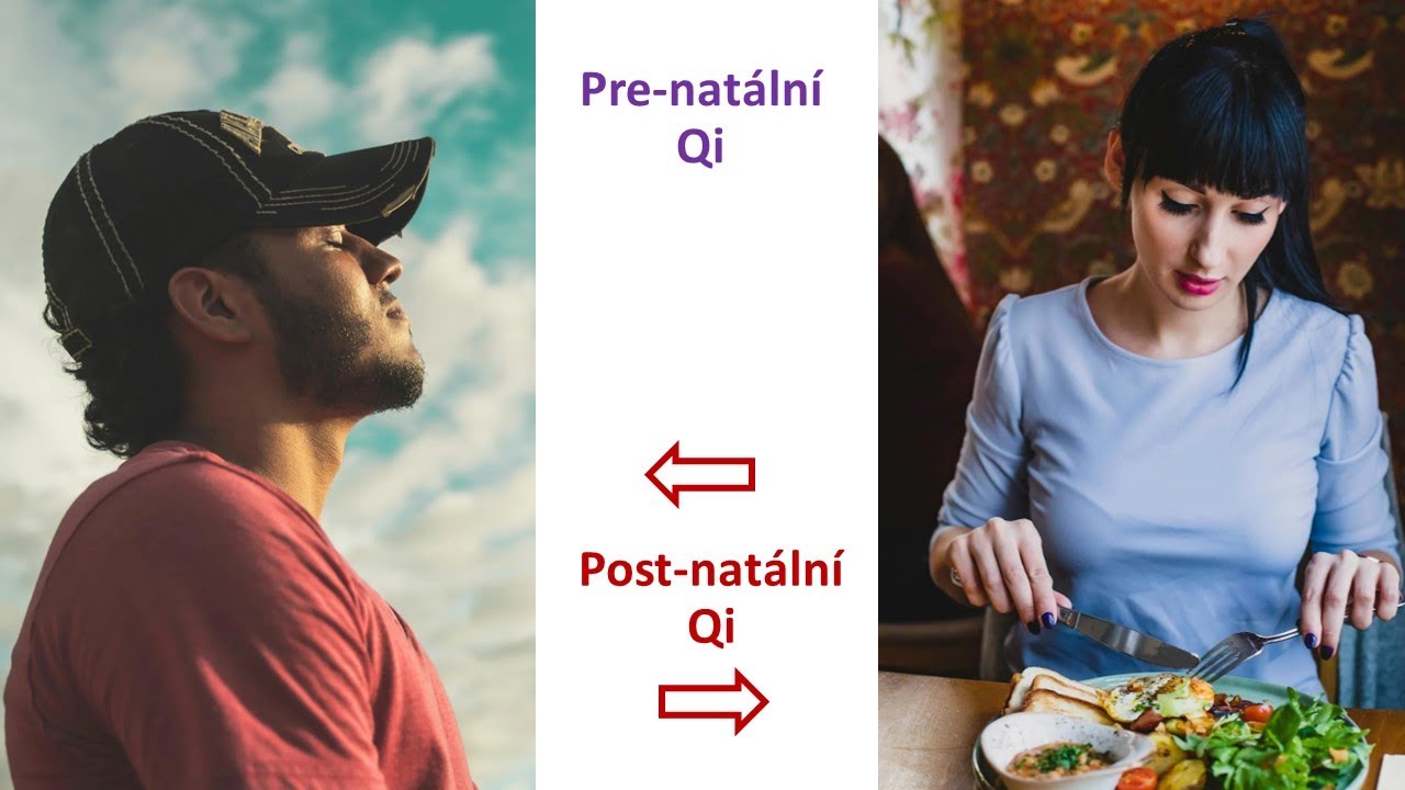 Výživa na práně pohledem TČM (PhDr. Eva Hajduková, Ph.D.)