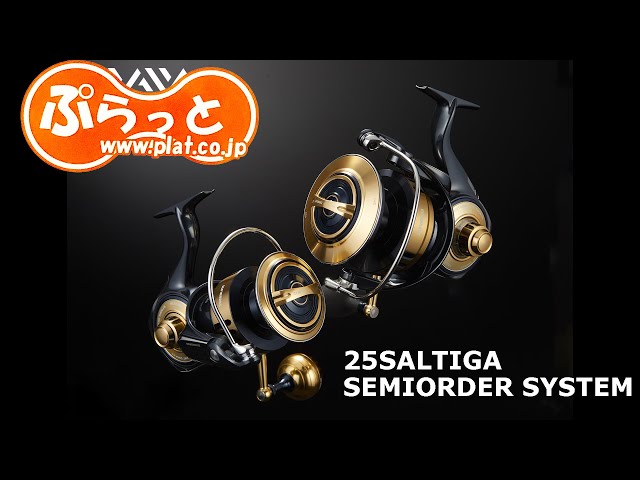 20th Anniversary EXIST SEMIORDER SYSTEM. 2025 SALTIGA SEMIORDER