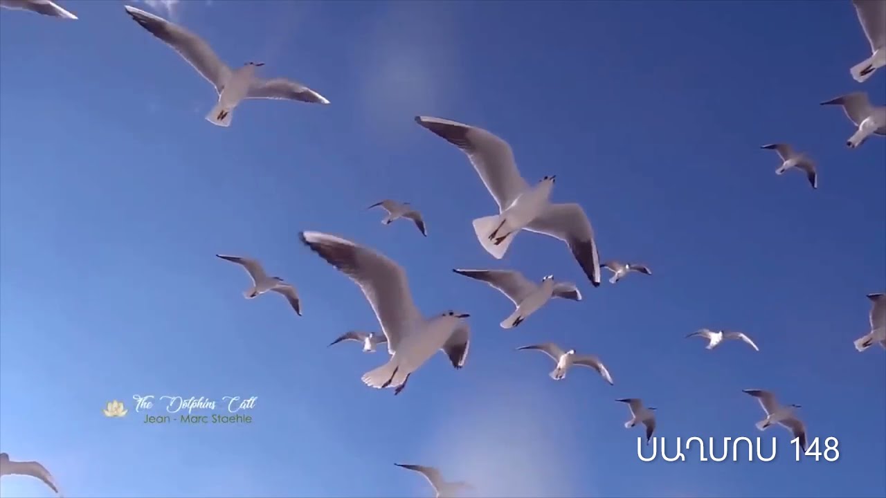 ՍԱՂՄՈՍ 148 Աստծո´ւն Փառաբանեք