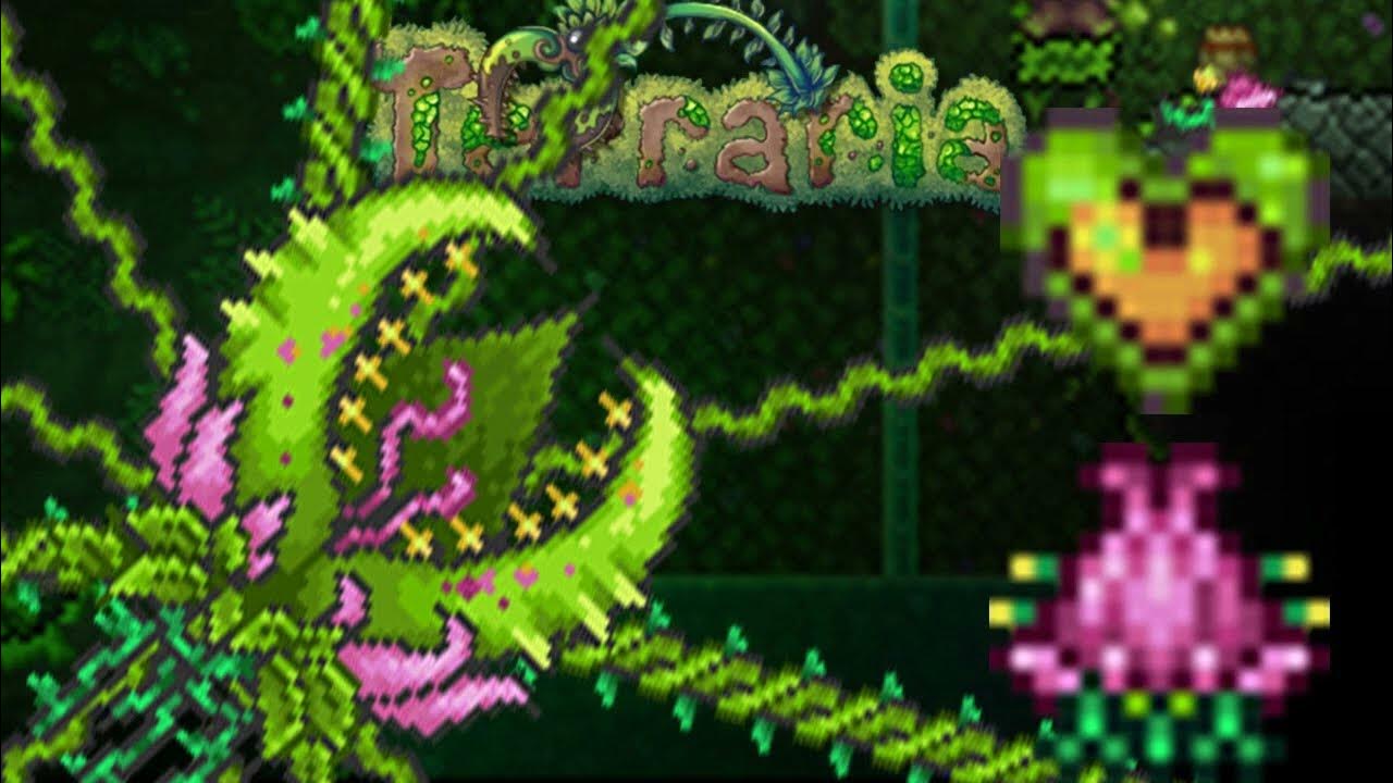Terraria боссы плантера. Бутон плантеры террария 1. Плантера 2 фаза террария. Плантера цветок террария. Плантера в террарии призывалка.