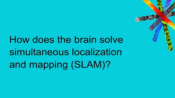 How does the brain solve simultaneous localization and mapping (SLAM)?