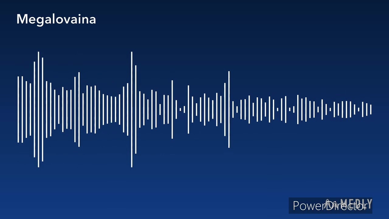 Megalovaina remix (100 sub special)