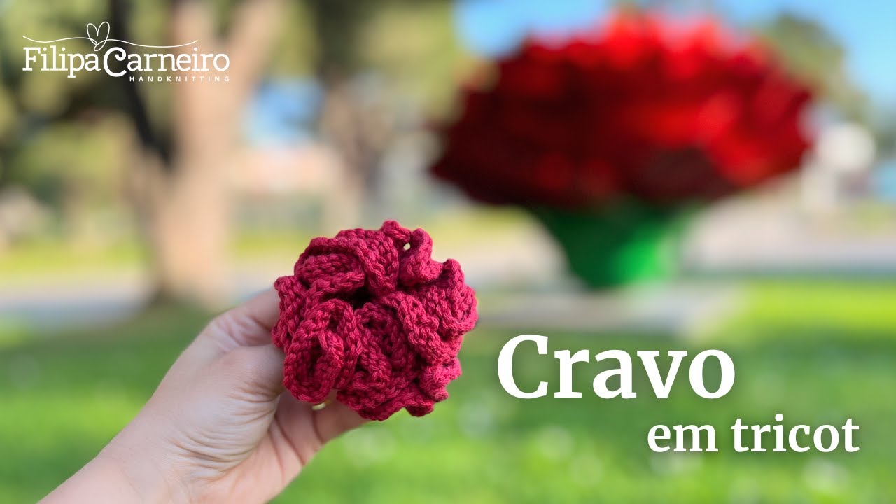 Tricotar um Cravo (knit a Carnation flower)
