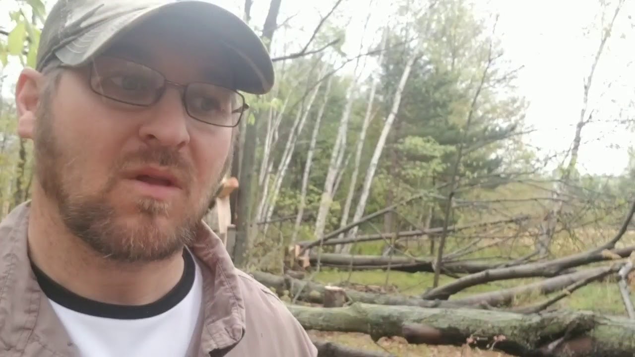 37 Hold Deer, doe beds, buck beds, hinge cut, soft edge, travel routes