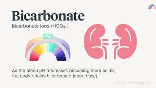 Arterial Blood Gas Analysis (ABGs) | Ausmed Explains...