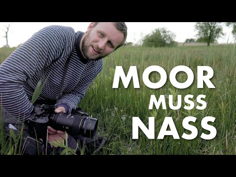 Fotografie im Moor