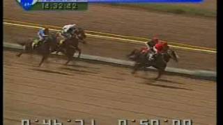 HIPODROMO LA PLATA 15/10/09 1