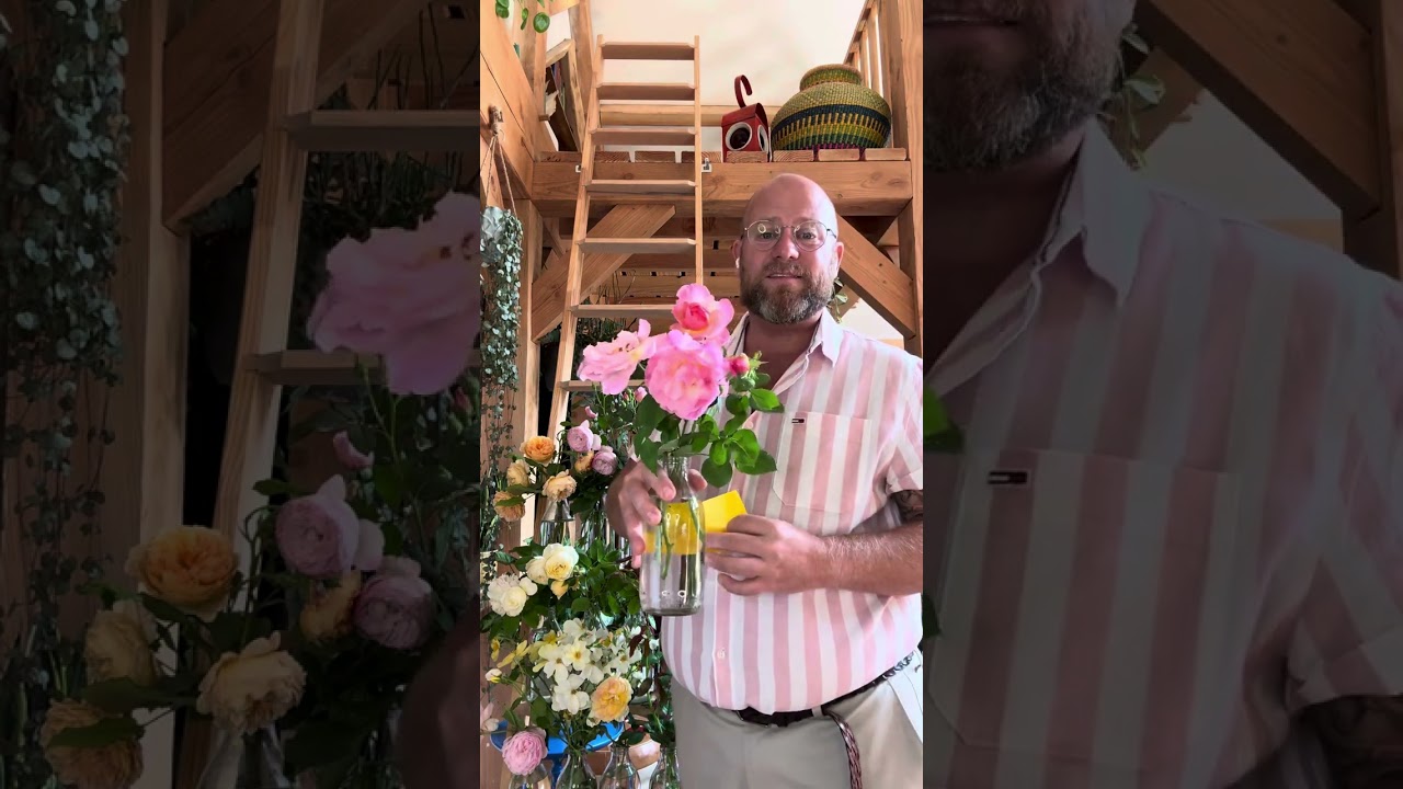 My all new top 20 most recommended @david_austin_roses 2024 #gardenerben