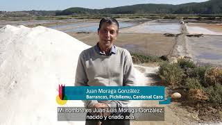 Patrimonio alimentario de O'Higgins: Sal de Cahuil