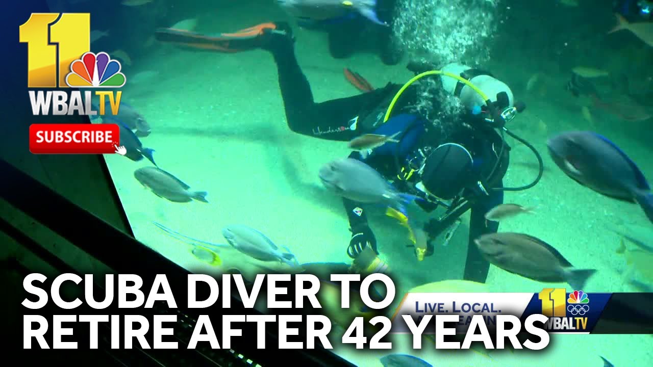 National Aquarium volunteer scuba diver to retire after 42 years