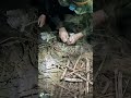 rozpalanie krzesiwem #survival #bushcraft #prepees #wojsko #szponteam #militaria #ogien #szkolenia