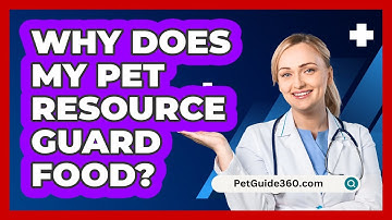 Why Does My Pet Resource Guard Food? - PetGuide360.com