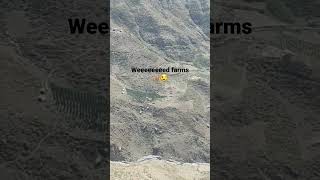 Spread All Around 😉 Resimi