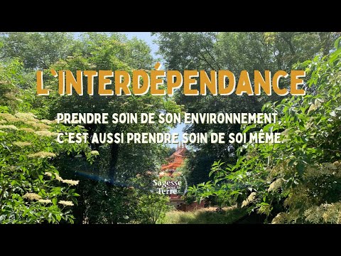 INTERDEPENDENCE—Wisdom Working for the Earth 2022