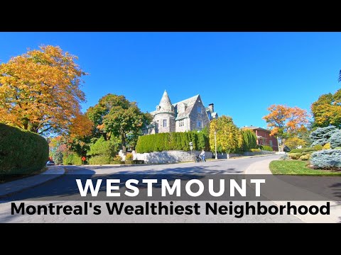 Video: Westmount konservatorijoje ir šiltnamiuose