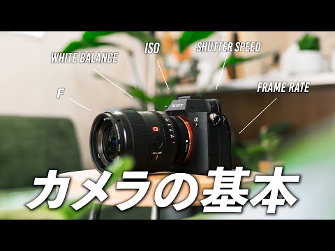 【保存版】もう恥ずかしくない！F値・ISO・SSが分からない人集合！シーン別に適切な設定方法を解説します。