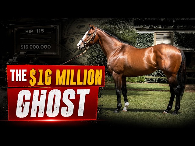 The Most Expensive Failure in Horse Racing History!