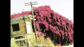 Lobby for Cyprus / Famagusta association UK slideshow