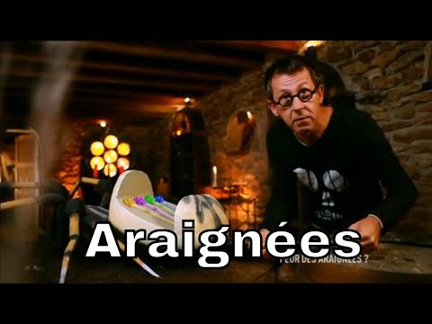 Comment les araignées produisent-elles des fils ? - C'est Pas Sorcier