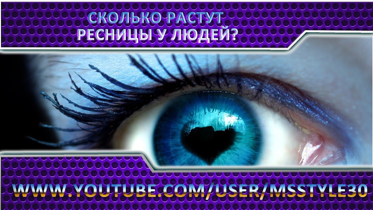 Сколько растут ресницы у людей?