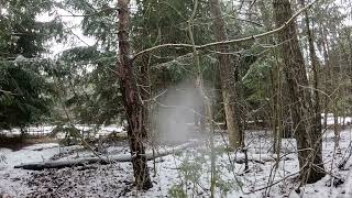 Spring Time In Forest with Snowfall (calm & Relaxing Sounds)