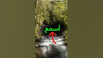﴿ رَبَّنَا إِنَّكَ تَعْلَمُ مَا نُخْفِي وَمَا نُعْلِنُ#سورة-ابراهيم#سعود_الشريم#قرآن #قران_كريم#لايك