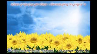 הרב עופר ארז - סוד התגלות הכתר העליון (HD)