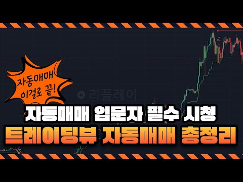 아직도 밤새 차트만 보시나요? 트레이딩뷰 자동매매 4단계 로드맵