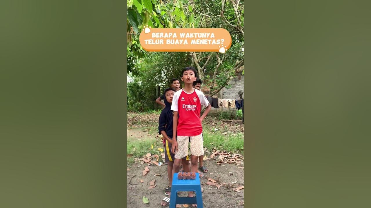 berapa-lama-ya-shorts-animals-ngeshortsbareng-jokes-youtube