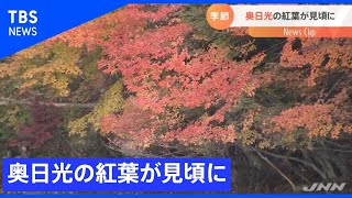 “神秘的”奥日光で紅葉が見頃【Nスタ】